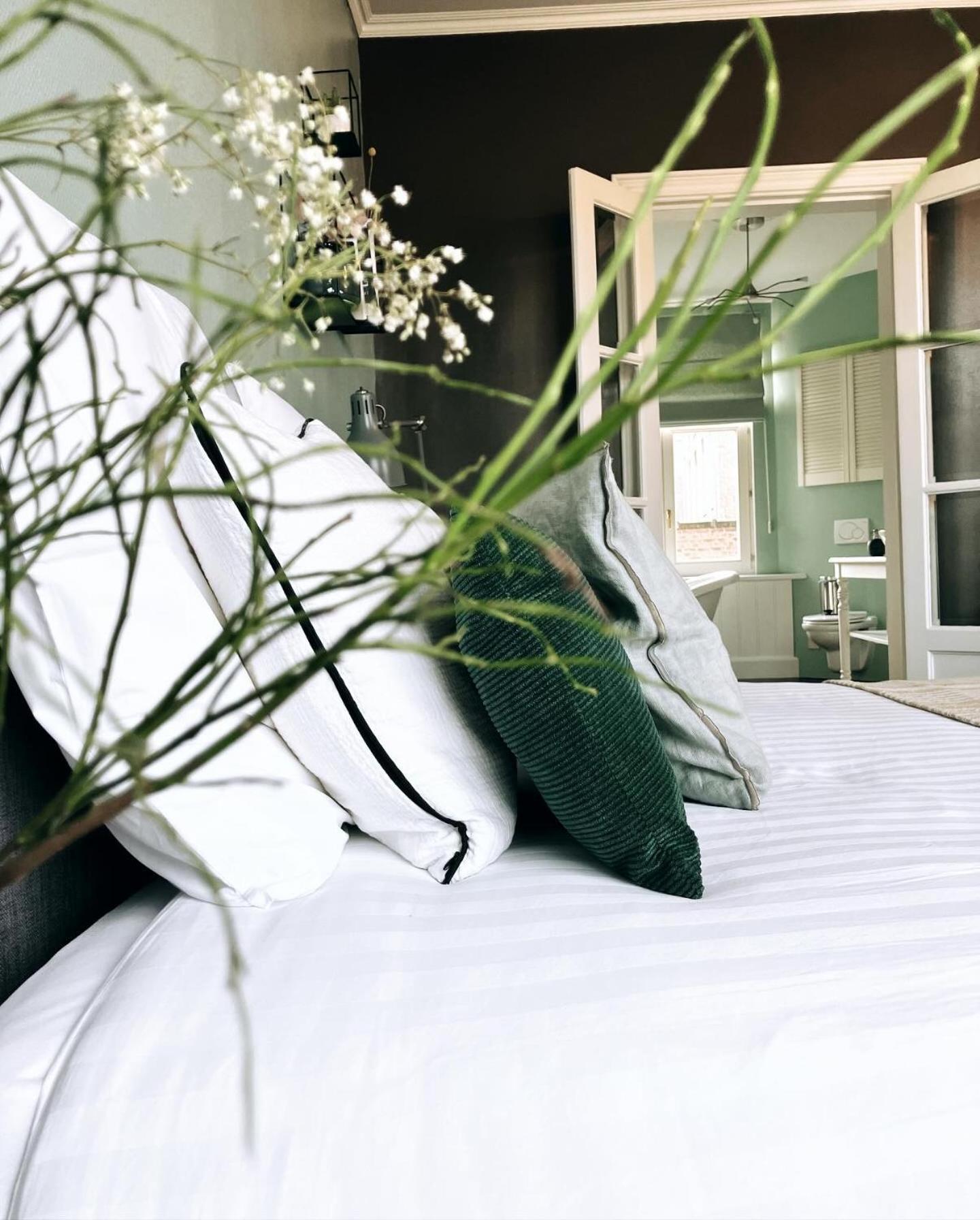 Domus Portus Bed & Breakfast Dendermonde Ngoại thất bức ảnh