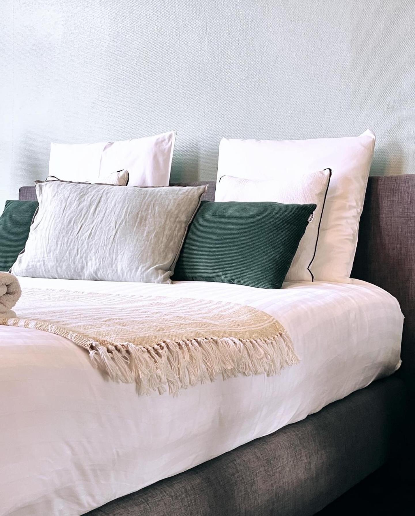 Domus Portus Bed & Breakfast Dendermonde Ngoại thất bức ảnh